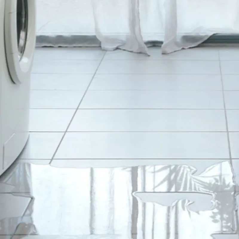 Appliance Leak Cleanup in Bettendorf, IA