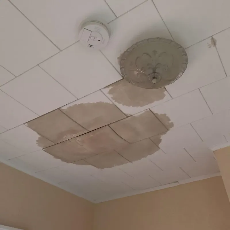 Ceiling Water Damage Repair in Bettendorf, IA