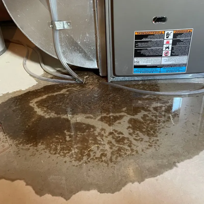 Pipe Burst and Leak Restoration in Bettendorf, IA