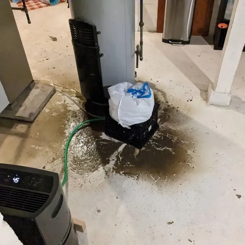 Sewage Backup Cleanup Service in Bettendorf, IA